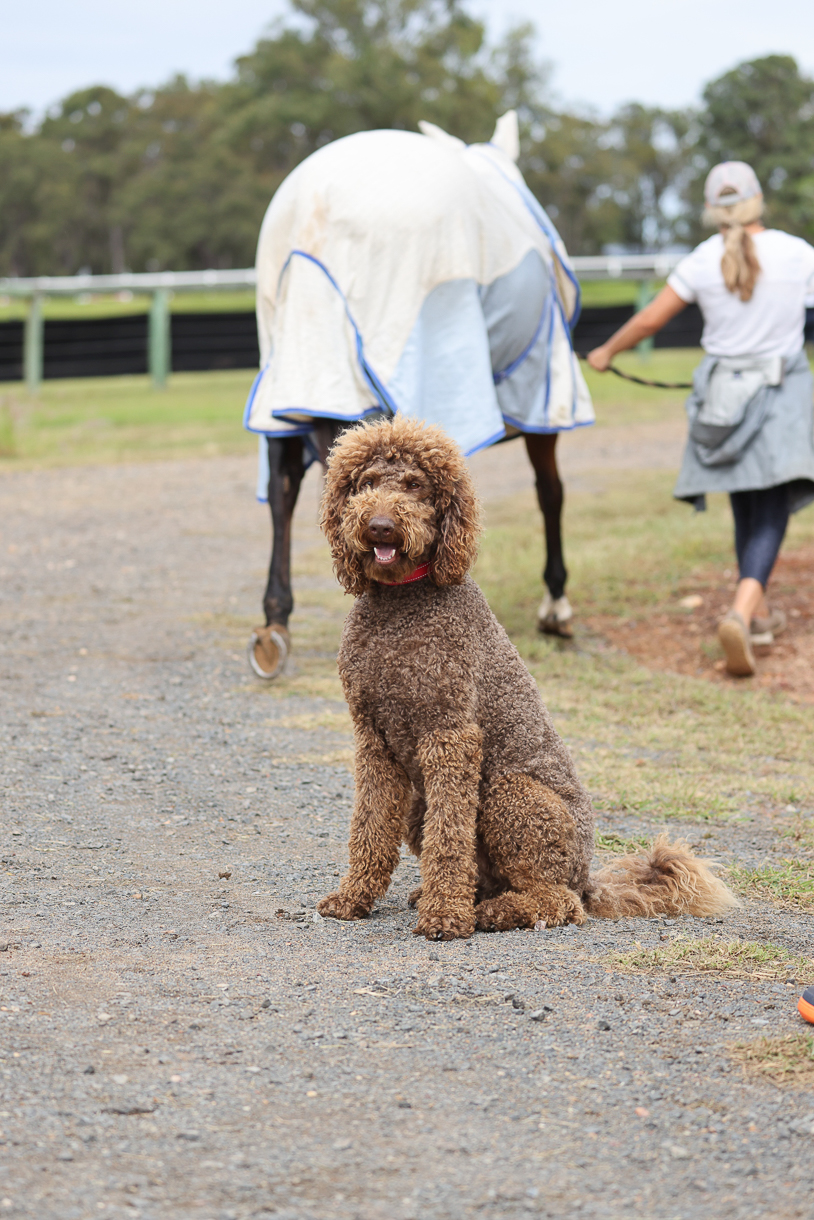 JHT_0465.JPG  01/05/2021  10:12:28:28