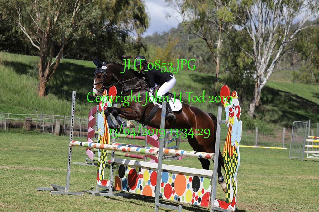 JHT_0853  Time: 13:34:29 on Apr 13/04/2019