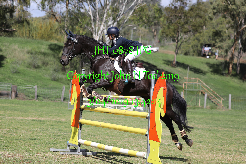 JHT_0878  Time: 13:42:14 on Apr 13/04/2019