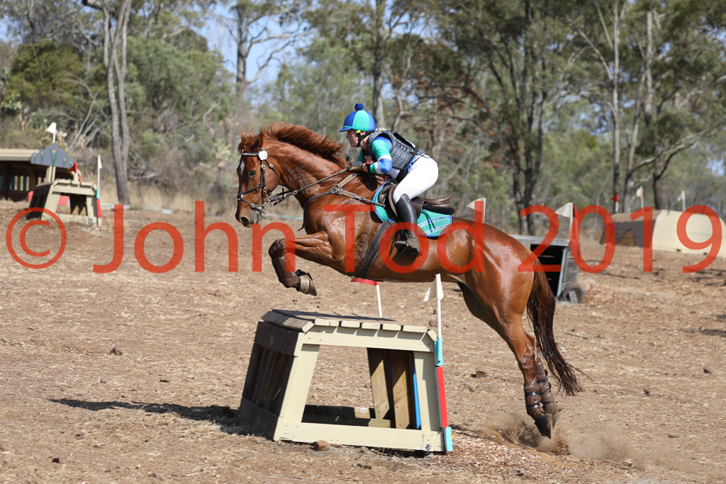 JHT_0582.JPG   08:30:32  06/10/2019  Copyright John H Tod 2019