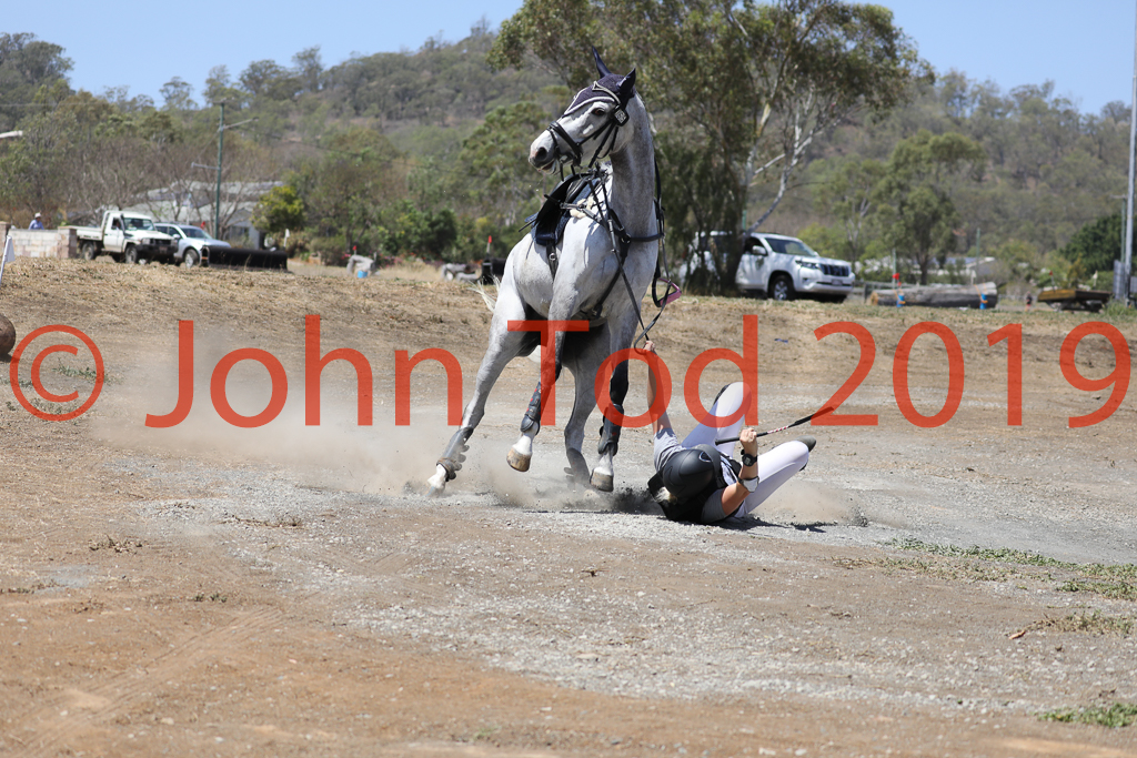 JHT_0794.JPG   11:21:13  06/10/2019  Copyright John H Tod 2019