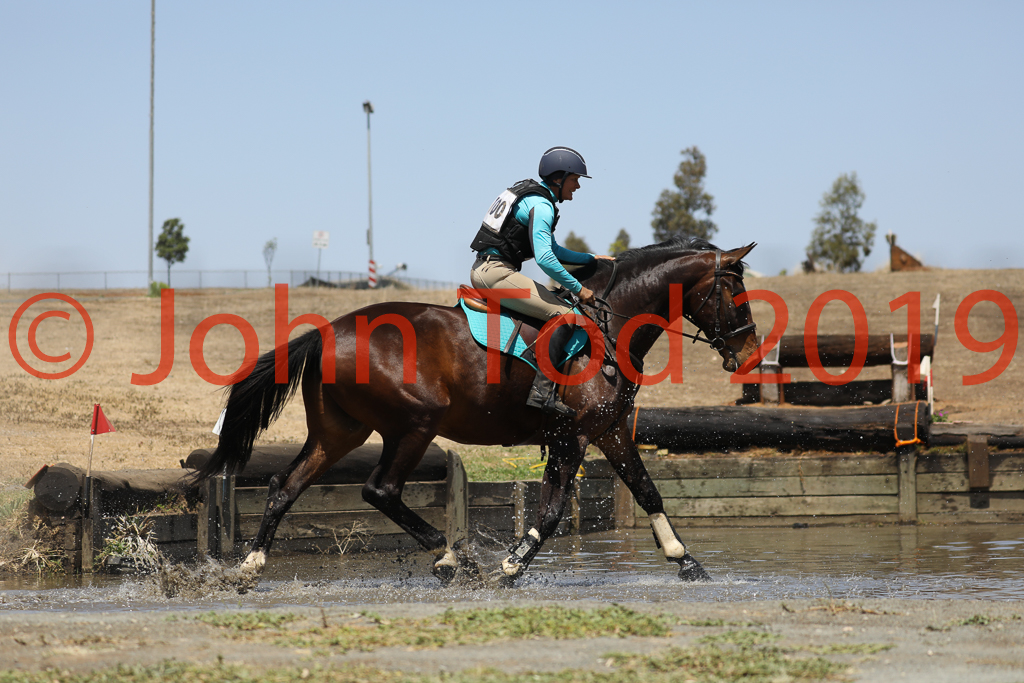 JHT_0822.JPG   11:29:09  06/10/2019  Copyright John H Tod 2019
