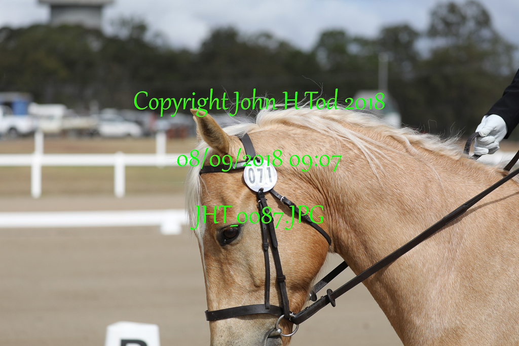 JHT_0087  Time: 09:07:52 on Sep 08/09/2018
